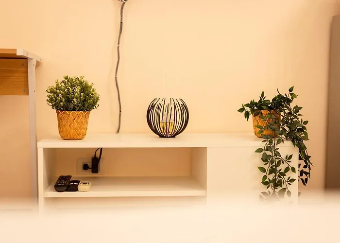 Apartment Stingga Mckinley Aesthetic In Venice